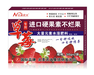 草莓進口硬果素不爛果